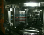 Other Mould 03