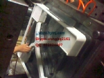 Other Mould 20