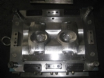 Other Mould 29