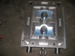 Other Mould 30
