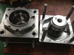 All Kinds Of Moulds 04