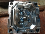 All Kinds Of Moulds 05
