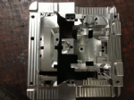 All Kinds Of Moulds 07