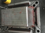 All Kinds Of Moulds 13