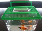 Plastic Fish Bowl 08